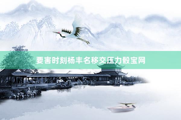 要害時刻楊豐名移交壓力骰寶網