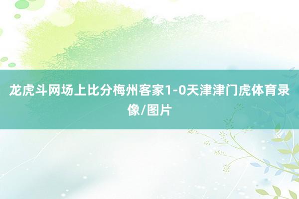 龍虎斗網場上比分梅州客家1-0天津津門虎體育錄像/圖片