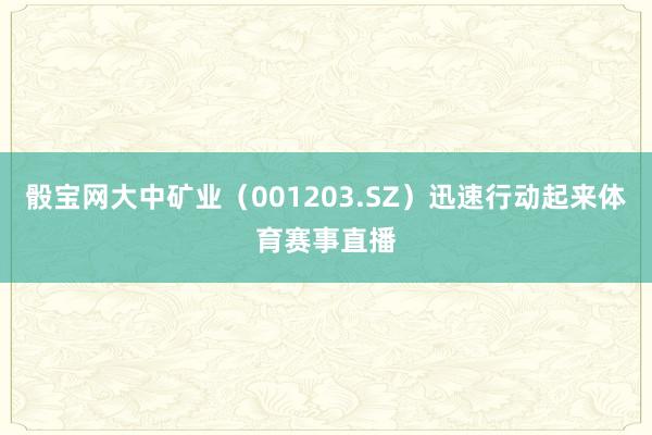 骰寶網(wǎng)大中礦業(yè)（001203.SZ）迅速行動起來體育賽事直播