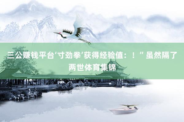 三公賺錢平臺‘寸勁拳’獲得經(jīng)驗值：！”雖然隔了兩世體育集錦