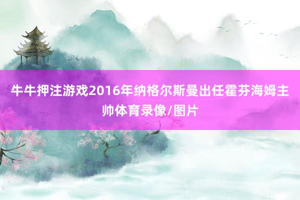 牛牛押注游戲2016年納格爾斯曼出任霍芬海姆主帥體育錄像/圖片