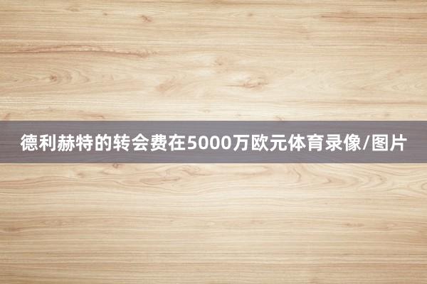 德利赫特的轉(zhuǎn)會費在5000萬歐元體育錄像/圖片