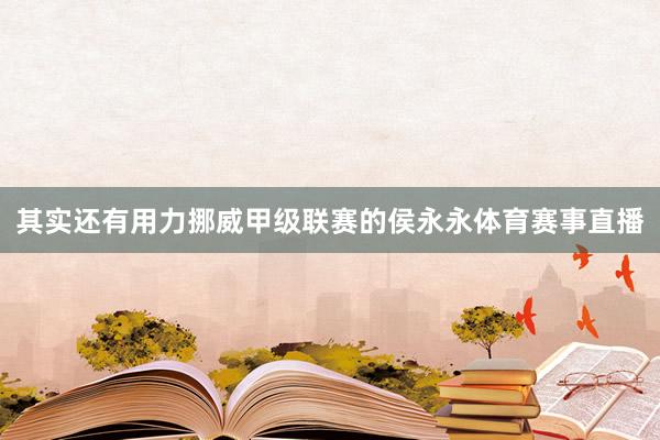 其實還有用力挪威甲級聯賽的侯永永體育賽事直播