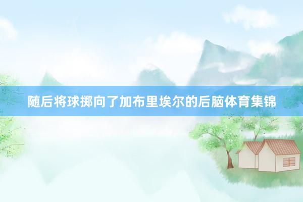 隨后將球擲向了加布里埃爾的后腦體育集錦