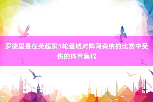 羅德里是在英超第5輪曼城對(duì)陣阿森納的比賽中受傷的體育集錦