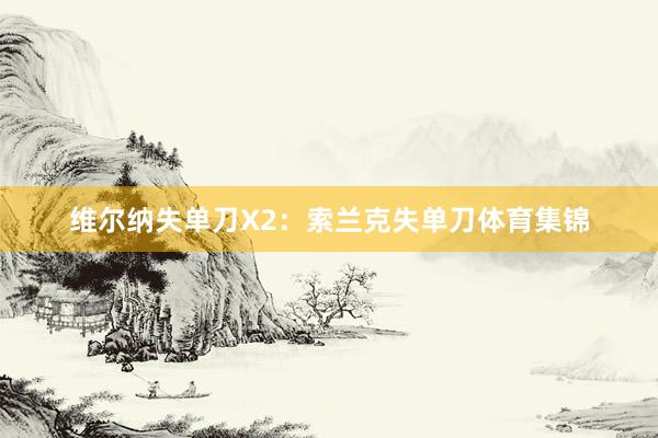 維爾納失單刀X2：索蘭克失單刀體育集錦