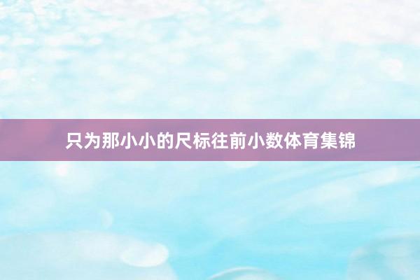 只為那小小的尺標往前小數體育集錦