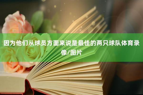 因?yàn)樗麄儚那騿T方面來(lái)說(shuō)是最佳的兩只球隊(duì)體育錄像/圖片