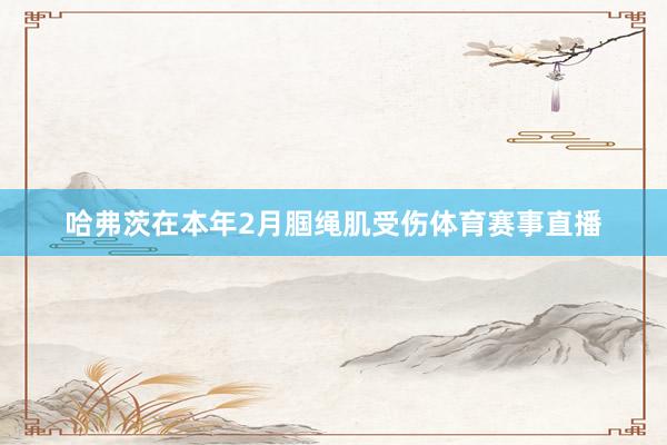 哈弗茨在本年2月腘繩肌受傷體育賽事直播