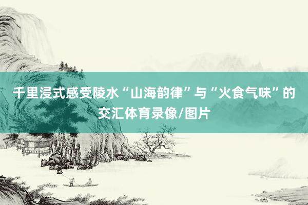 千里浸式感受陵水“山海韻律”與“火食氣味”的交匯體育錄像/圖片